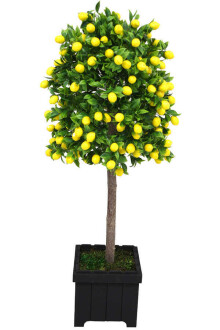 Yapay Bodur Limon Ağacı Mdf Ahşap Siyah Saksıda 100 cm - Yapay Çiçek Sitesi