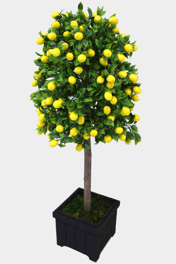 Yapay Bodur Limon Ağacı Mdf Ahşap Siyah Saksıda 100 cm - 2