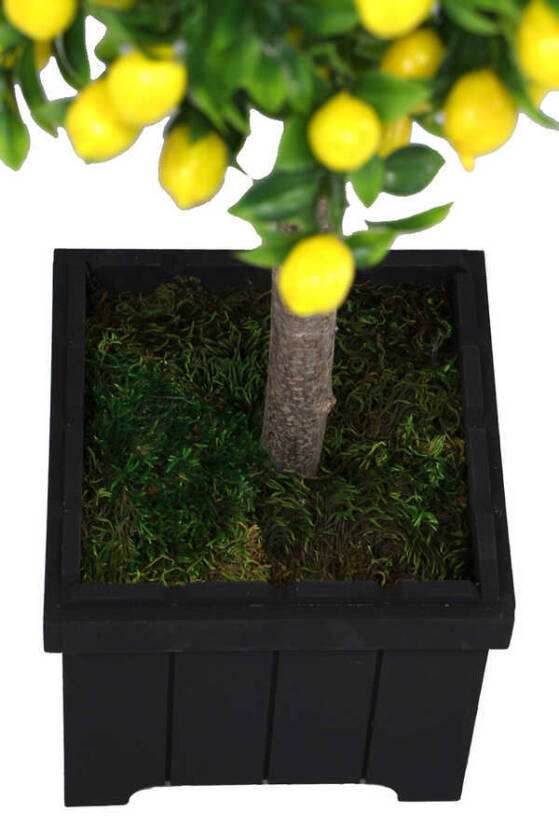 Yapay Bodur Limon Ağacı Mdf Ahşap Siyah Saksıda 100 cm - 4