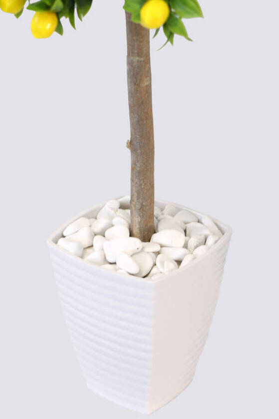 Yapay Bodur Limon Ağacı Melamin Saksıda 100 cm - 4