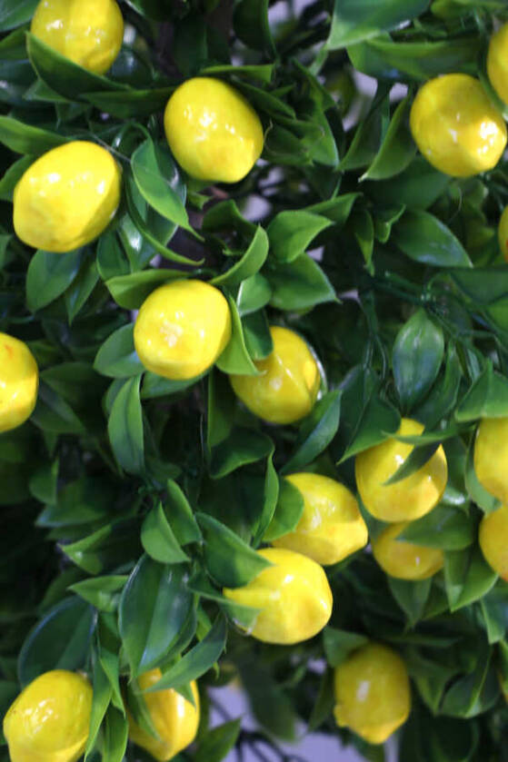 Yapay Bodur Limon Ağacı Melamin Saksıda 100 cm - 5