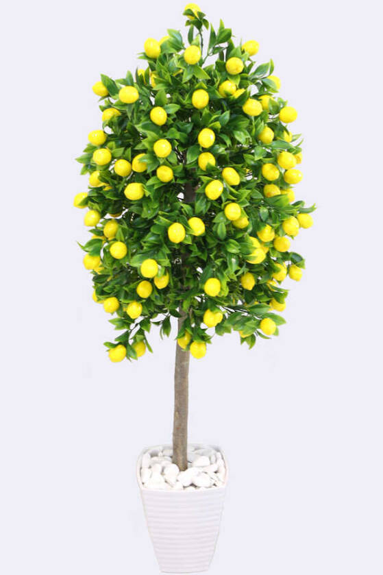 Yapay Bodur Limon Ağacı Melamin Saksıda 100 cm - 6