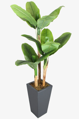 Antrasit Saksıda 13 Yapraklı Yapay Muz Ağacı 195 cm - Yapay Çiçek Sitesi