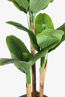 Antrasit Saksıda 13 Yapraklı Yapay Muz Ağacı 195 cm - 3