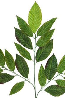 Yapay Ceviz Ağacı Dalı Parlak Dokulu 75 cm Yeşil - 2