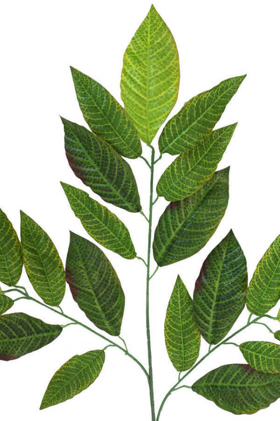 Yapay Ceviz Ağacı Dalı Parlak Dokulu 75 cm Yeşil - 2