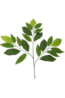 Yapay Ceviz Ağacı Dalı Parlak Dokulu 75 cm Yeşil - 3