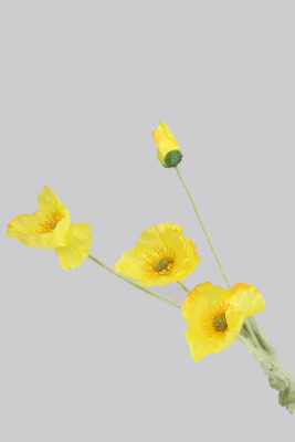 Yapay Çiçek 4lü Gelincik Dalı 60 cm Sarı - 3