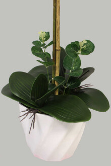 Yapay Çiçek Melamin Saksıda 2li Orkide Tanzim Fuşya Benekli 75 cm - 3