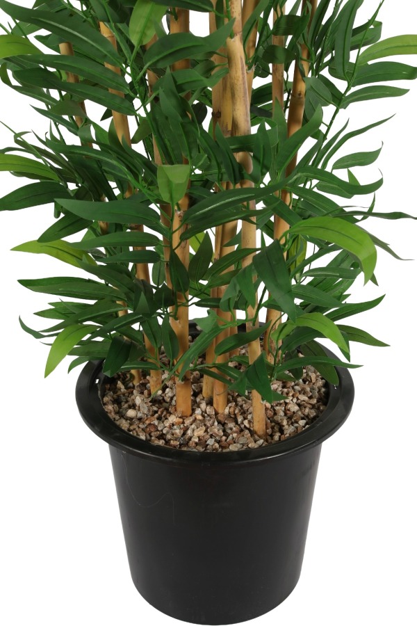 Plastik Saksıda10 Dallı Yapay Bambu Ağacı 230 cm - 3