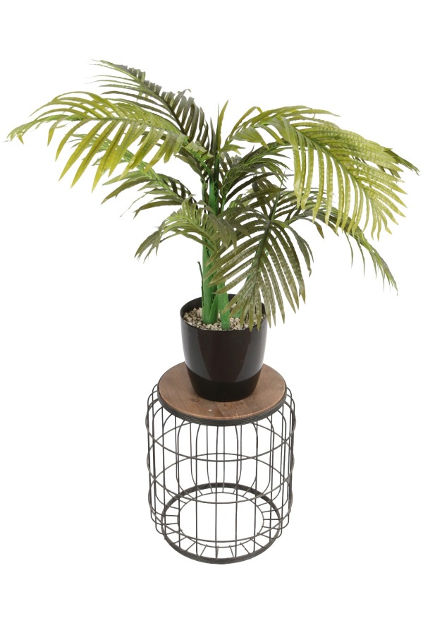 Yapay Çiçek Sitesi Siyah Plastik Saksıda Yapay Areka Ağacı 100 cm - 2