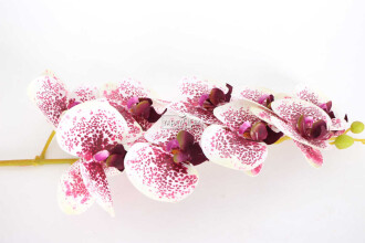 Yapay Dal Baskılı Orkide Çiçeği 88 cm Mürdüm Benekli - 4