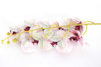 Yapay Dal Baskılı Orkide Çiçeği 88 cm Mürdüm Benekli - 5
