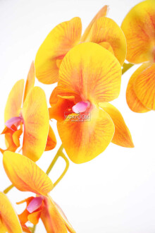 Yapay Dal Baskılı Orkide Çiçeği 88 cm Turuncu Hardal - 2