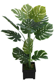 Yapay Deve Tabanı Ağacı Ahşap Saksıda 120 cm ( Monstera Deliciosa) - Yapay Çiçek Sitesi