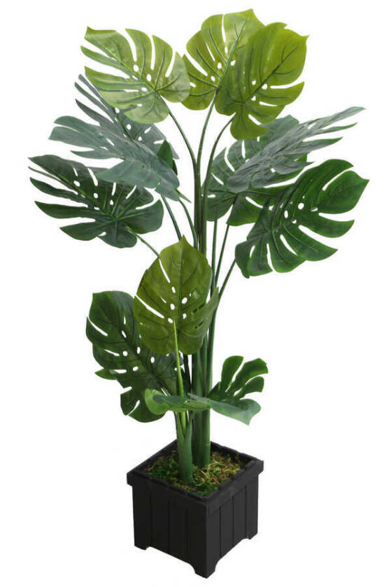 Yapay Deve Tabanı Ağacı Ahşap Saksıda 120 cm ( Monstera Deliciosa) - 2