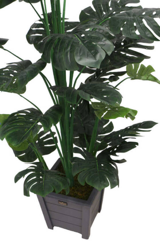 Yapay Deve Tabanı Ağacı Ahşap Saksıda 165 cm ( Monstera Deliciosa) - 4