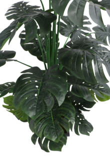 Yapay Deve Tabanı Ağacı Ahşap Saksıda 165 cm ( Monstera Deliciosa) - 5