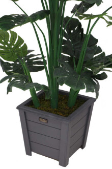 Yapay Deve Tabanı Ağacı Ahşap Saksıda 165 cm ( Monstera Deliciosa) - 6