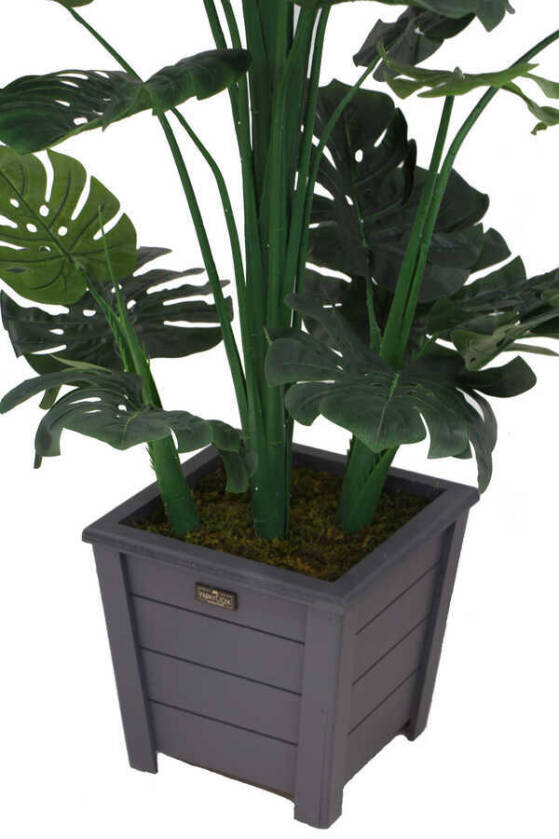 Yapay Deve Tabanı Ağacı Ahşap Saksıda 165 cm ( Monstera Deliciosa) - 6