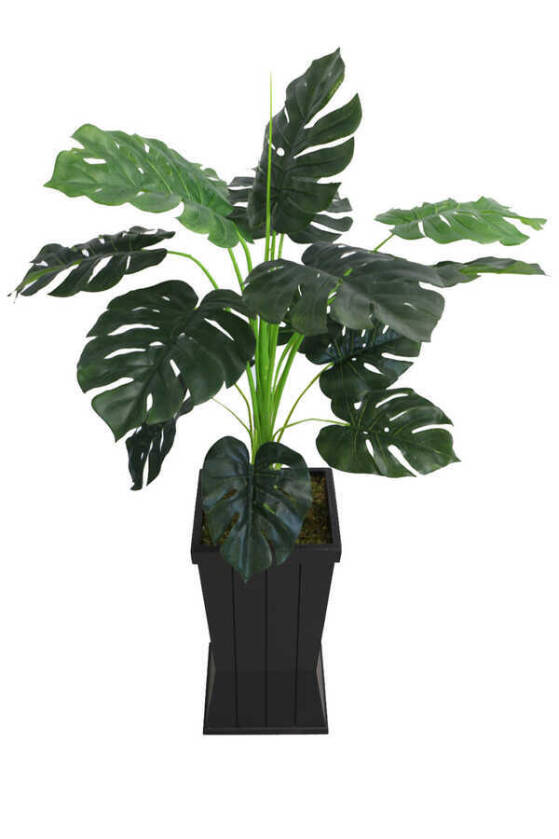 Yapay Deve Tabanı Ağacı Ahşap Siyah Saksıda 130 cm ( Monstera Deliciosa) - 2