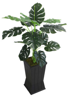 Yapay Deve Tabanı Ağacı Ahşap Siyah Saksıda 130 cm ( Monstera Deliciosa) - 3