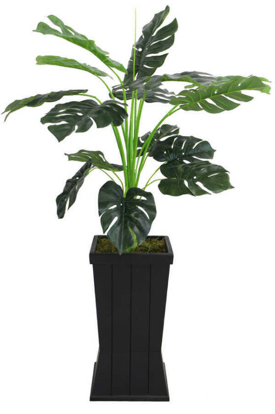 Yapay Deve Tabanı Ağacı Ahşap Siyah Saksıda 130 cm ( Monstera Deliciosa) - 4