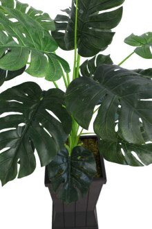 Yapay Deve Tabanı Ağacı Ahşap Siyah Saksıda 130 cm ( Monstera Deliciosa) - 5