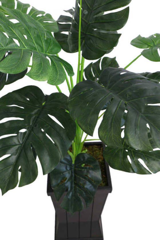 Yapay Deve Tabanı Ağacı Ahşap Siyah Saksıda 130 cm ( Monstera Deliciosa) - 5
