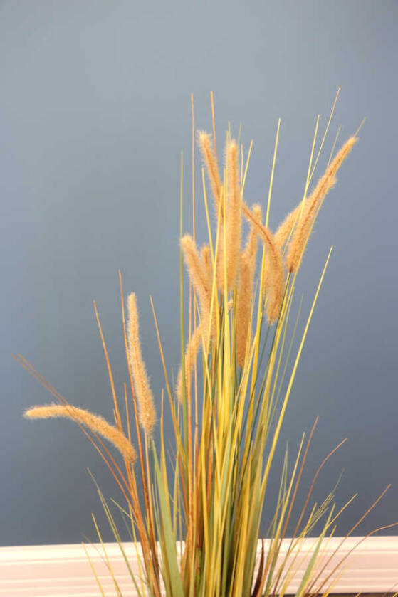 Yapay Deve Tüylü Püsküllü Ağaç 130cm - 5