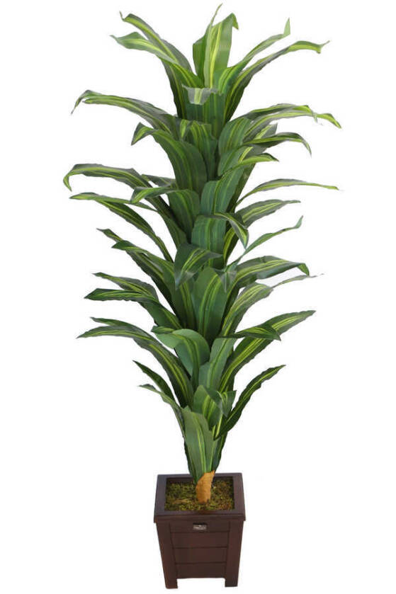 Yapay Drecina Ağacı 145 cm Dracaena Plant (Yeşil-Sarı) - 1