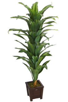 Yapay Drecina Ağacı 145 cm Dracaena Plant (Yeşil-Sarı) - 2