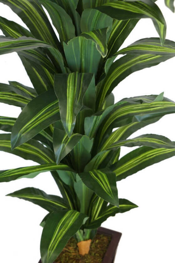 Yapay Drecina Ağacı 145 cm Dracaena Plant (Yeşil-Sarı) - 3