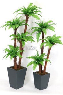 Yapay Eko Fujer Ağacı 2li Set 130 cm ve 155 cm - Yapay Çiçek Sitesi