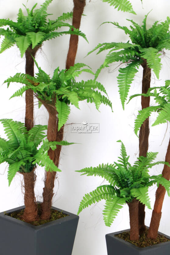 Yapay Eko Fujer Ağacı 2li Set 130 cm ve 155 cm - 2