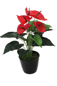 Yapay Islak Antoryum Bitkisi Siyah Saksıda 50 cm - Yapay Çiçek Sitesi