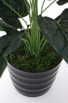 Yapay Islak Antoryum Bitkisi Siyah Saksıda 50 cm - 3