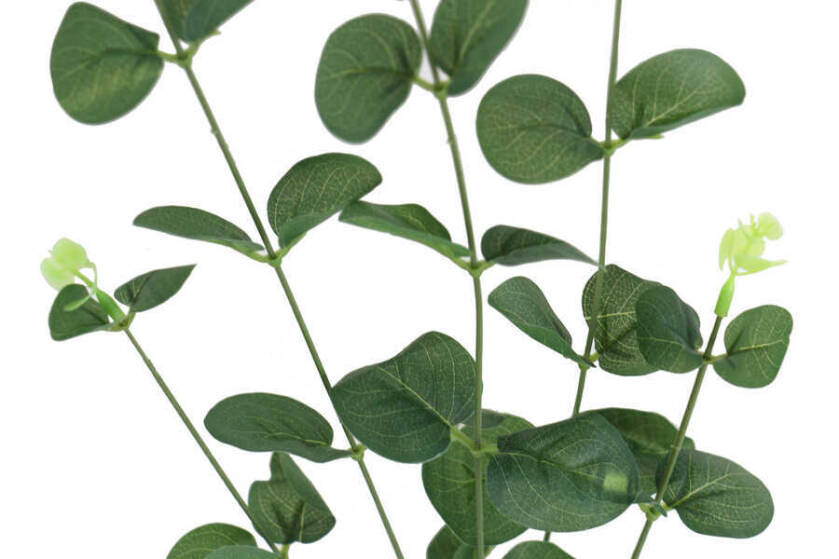 Yapay Islak Okaliptus Dal 65 cm Yeşil - 3