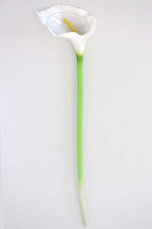 Yapay Islak Tek Dal Dev Gala Çiçeği 68 cm Beyaz - 2