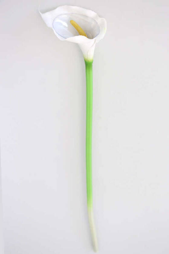 Yapay Islak Tek Dal Dev Gala Çiçeği 68 cm Beyaz - 2