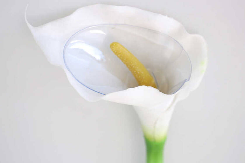 Yapay Islak Tek Dal Dev Gala Çiçeği 68 cm Beyaz - 3