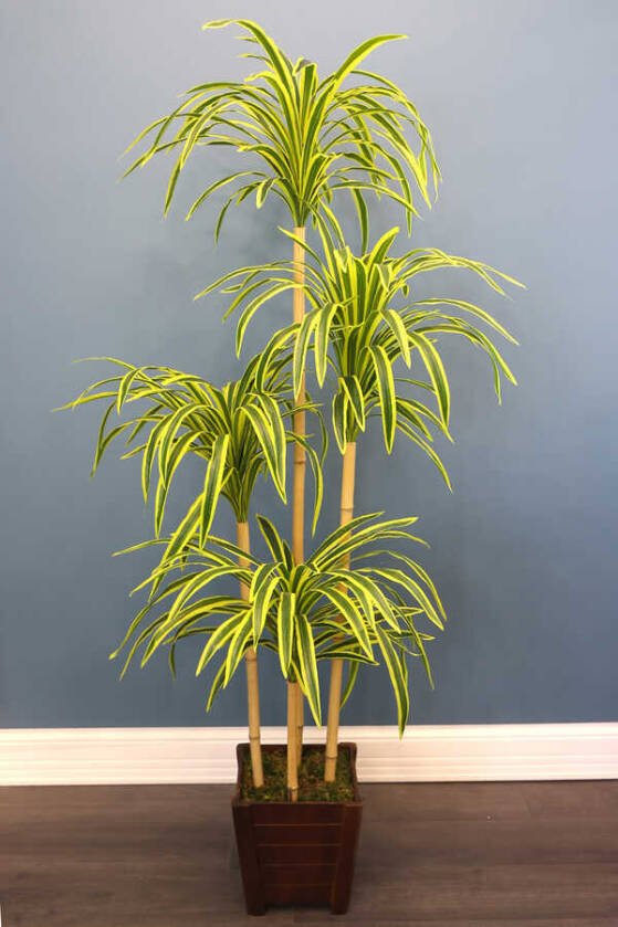 Yapay Japon Orman Çim Ağacı Hakonechloa 170 cm Yeşil-Sarı - 1