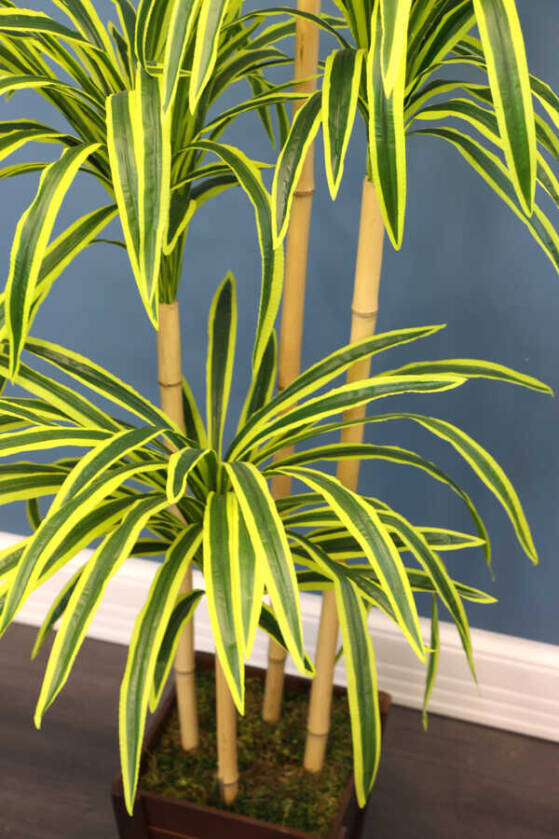 Yapay Japon Orman Çim Ağacı Hakonechloa 170 cm Yeşil-Sarı - 4