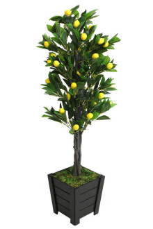 Yapay Kaliteli İri Limon Ağacı Ahşap Siyah Saksıda 140cm - 2