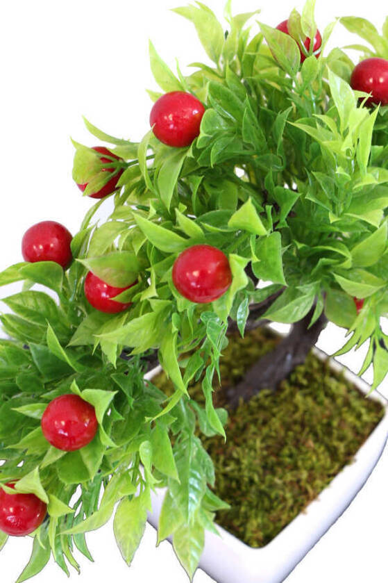 Yapay Kiraz Ağacı Melamin Saksıda 30 cm - 2