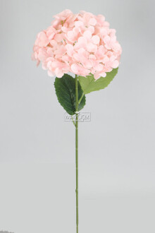Yapay Koca Kafa Ortanca Dalı 60 cm Pudra - 2