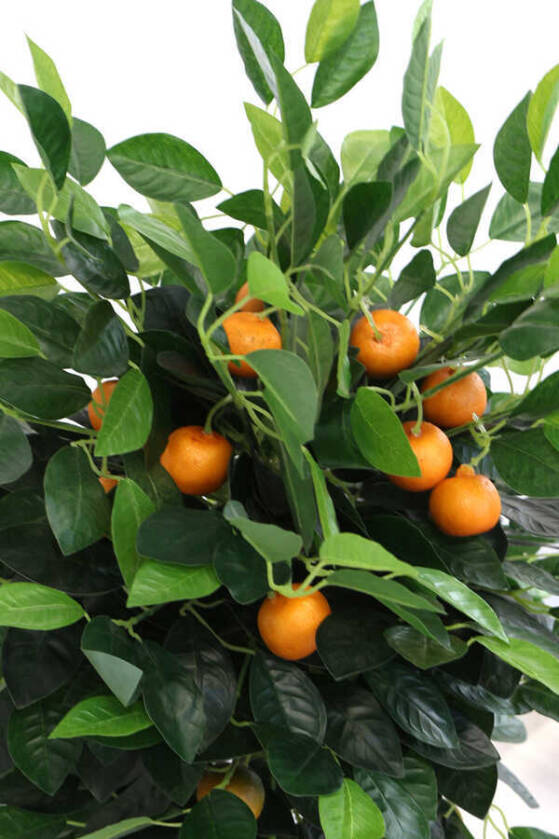 Yapay Mandalina Ağacı Ahşap Saksıda 110 cm - 5