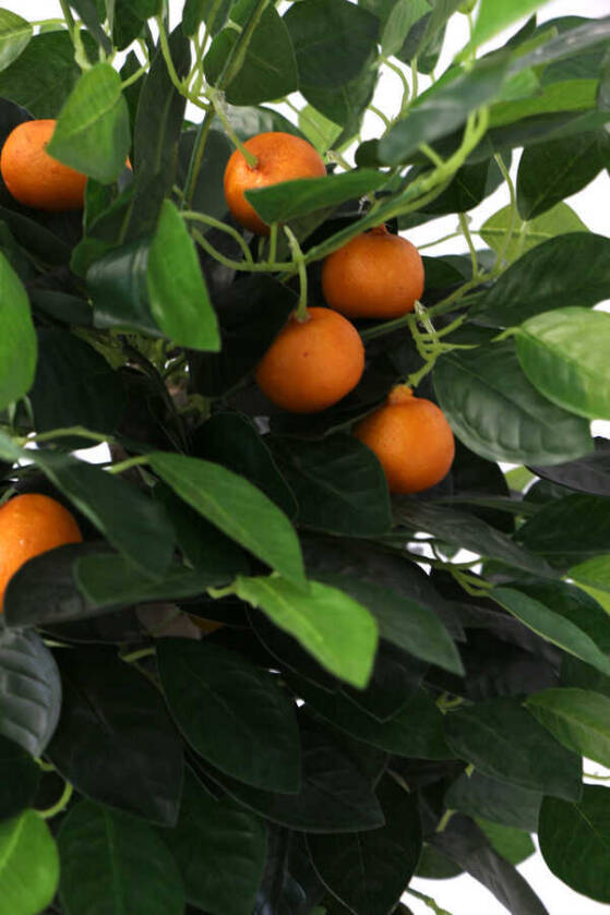 Yapay Mandalina Ağacı Ahşap Saksıda 110 cm - 6