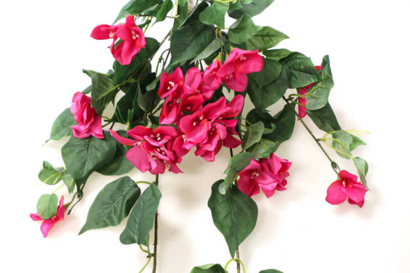 Yapay Orjinal Sarkan Begonvil 110 cm Fuşya - 2