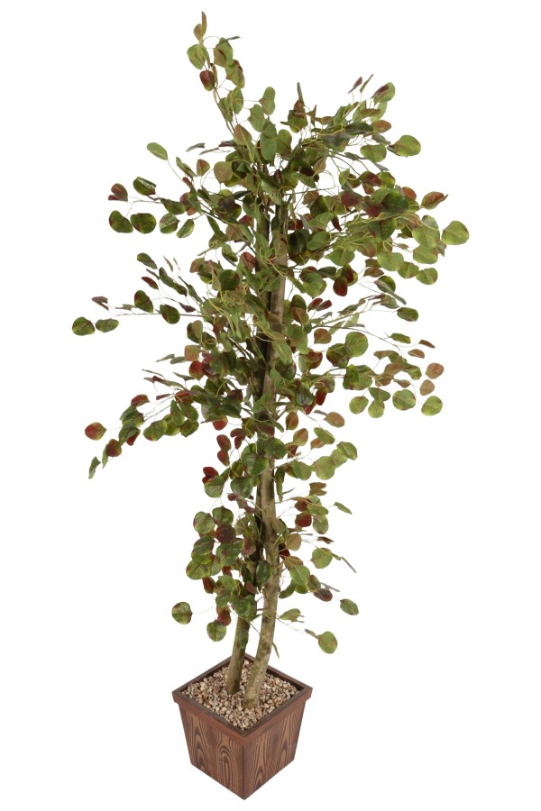 Yapay Para Ağacı 190cm - 1